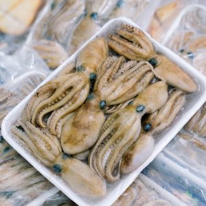 BẠCH TUỘC - Ảnh 6