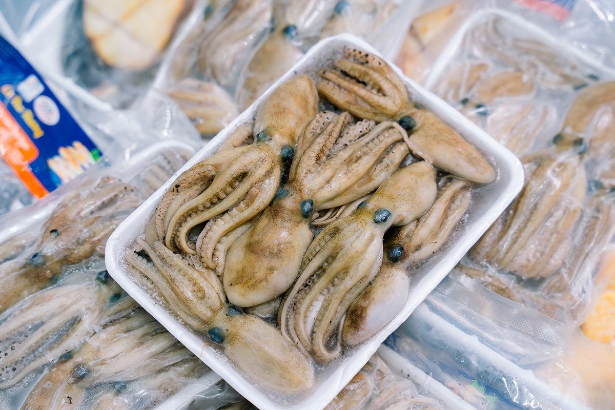 BẠCH TUỘC - Ảnh 6