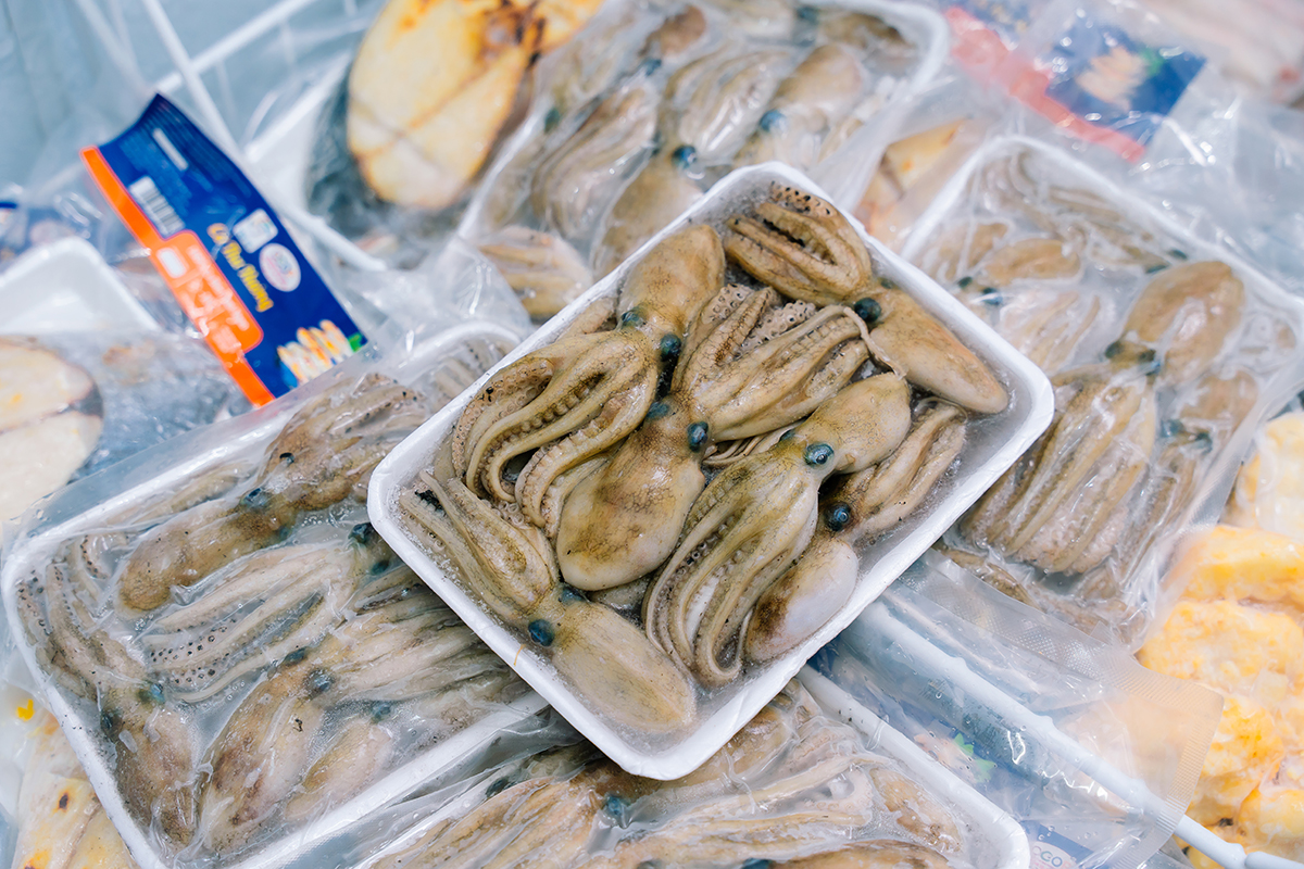 BẠCH TUỘC
