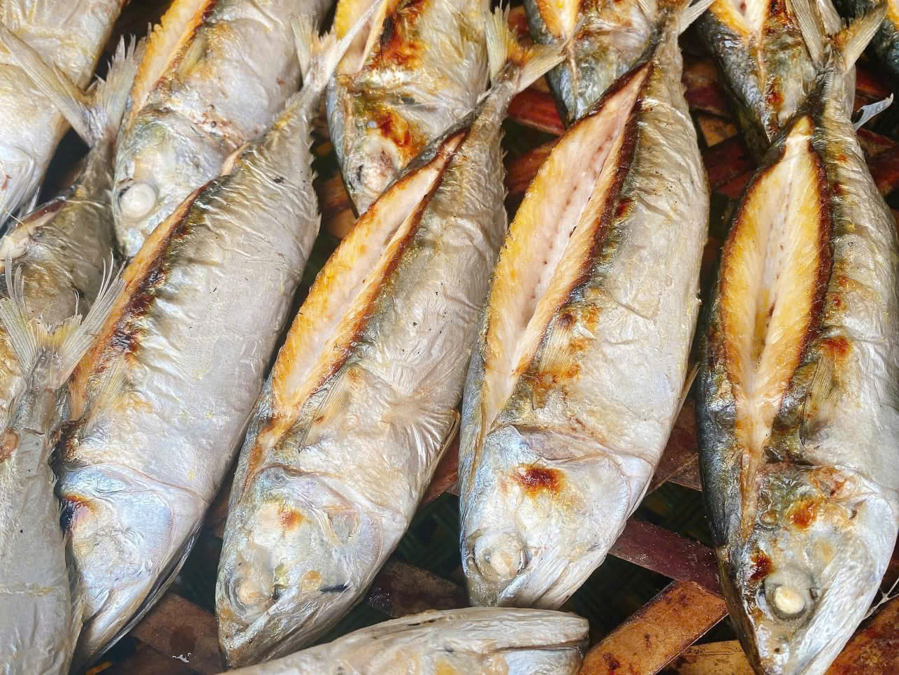 CÁ BẠC MÁ NƯỚNG - Ảnh 2