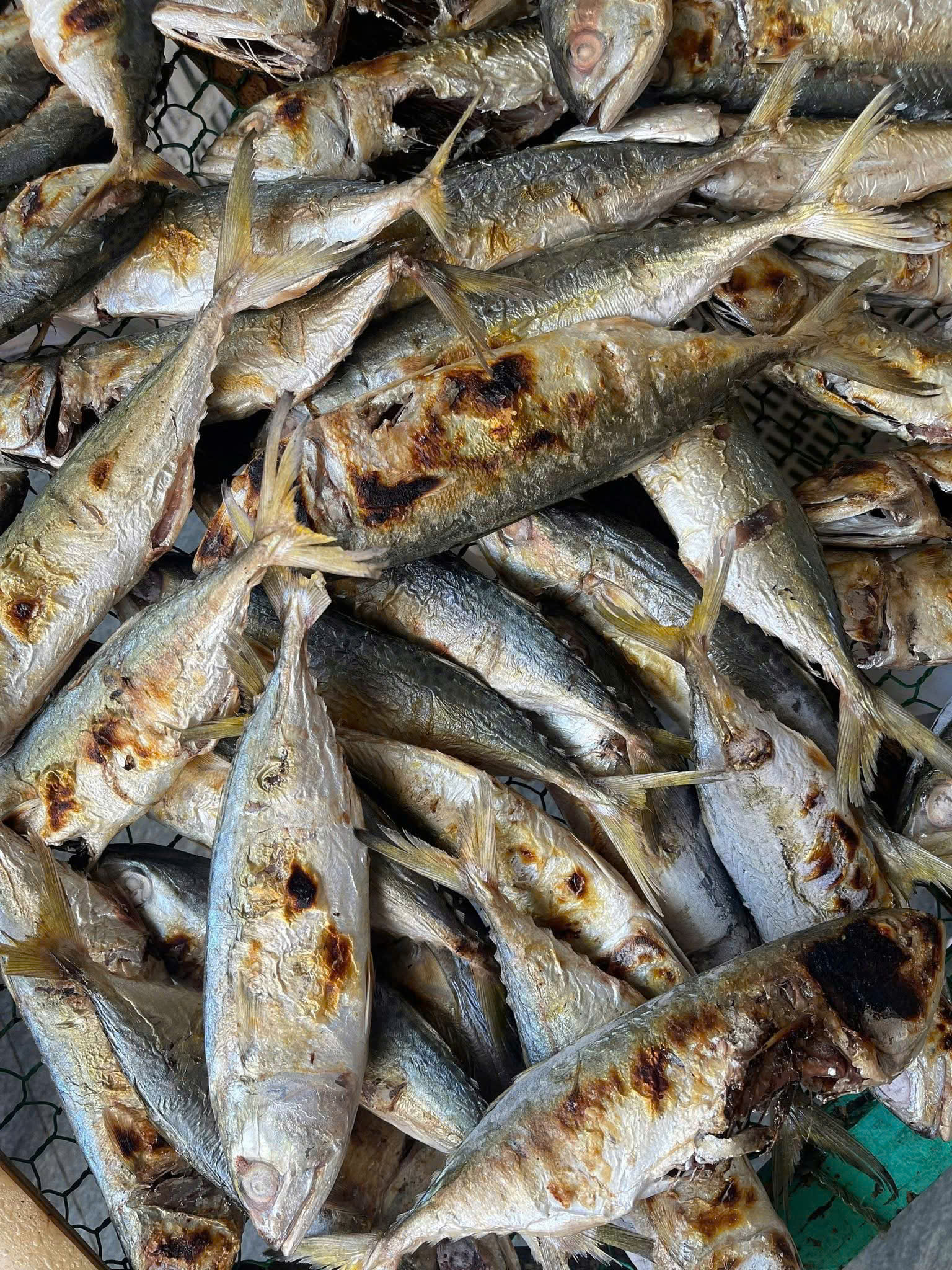 CÁ BẠC MÁ NƯỚNG - Ảnh 4