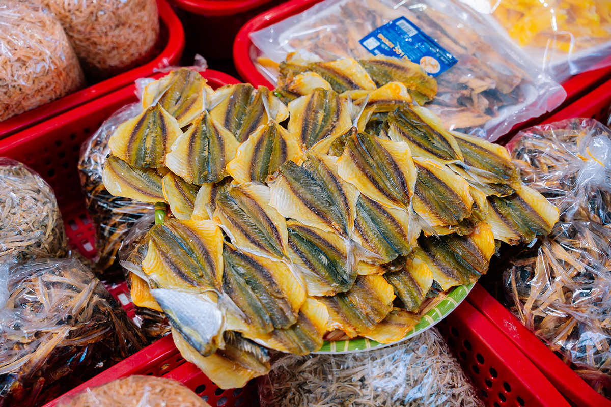 CÁ CHỈ VÀNG - Ảnh 2