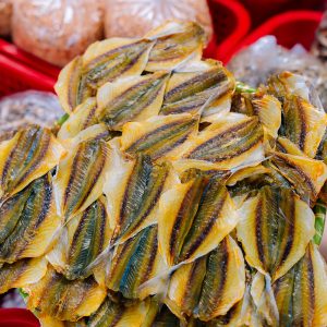 CÁ CHỈ VÀNG - Ảnh 3