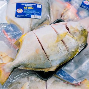CÁ CHIM - Ảnh 6