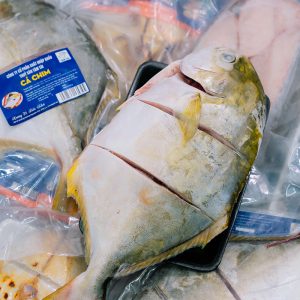 CÁ CHIM - Ảnh 4