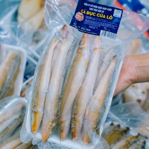 CÁ ĐỤC - Ảnh 3