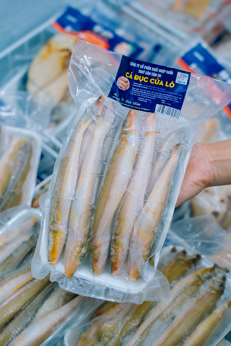CÁ ĐỤC - Ảnh 3