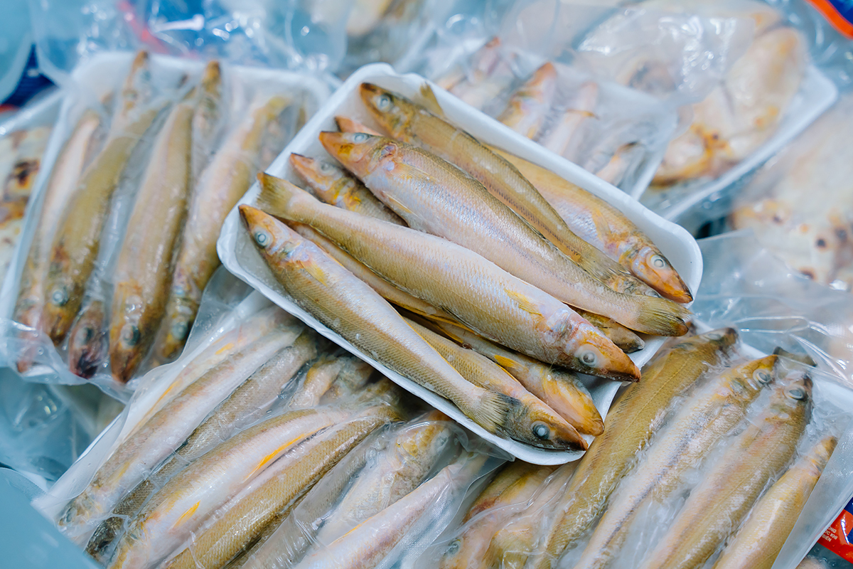 CÁ ĐỤC