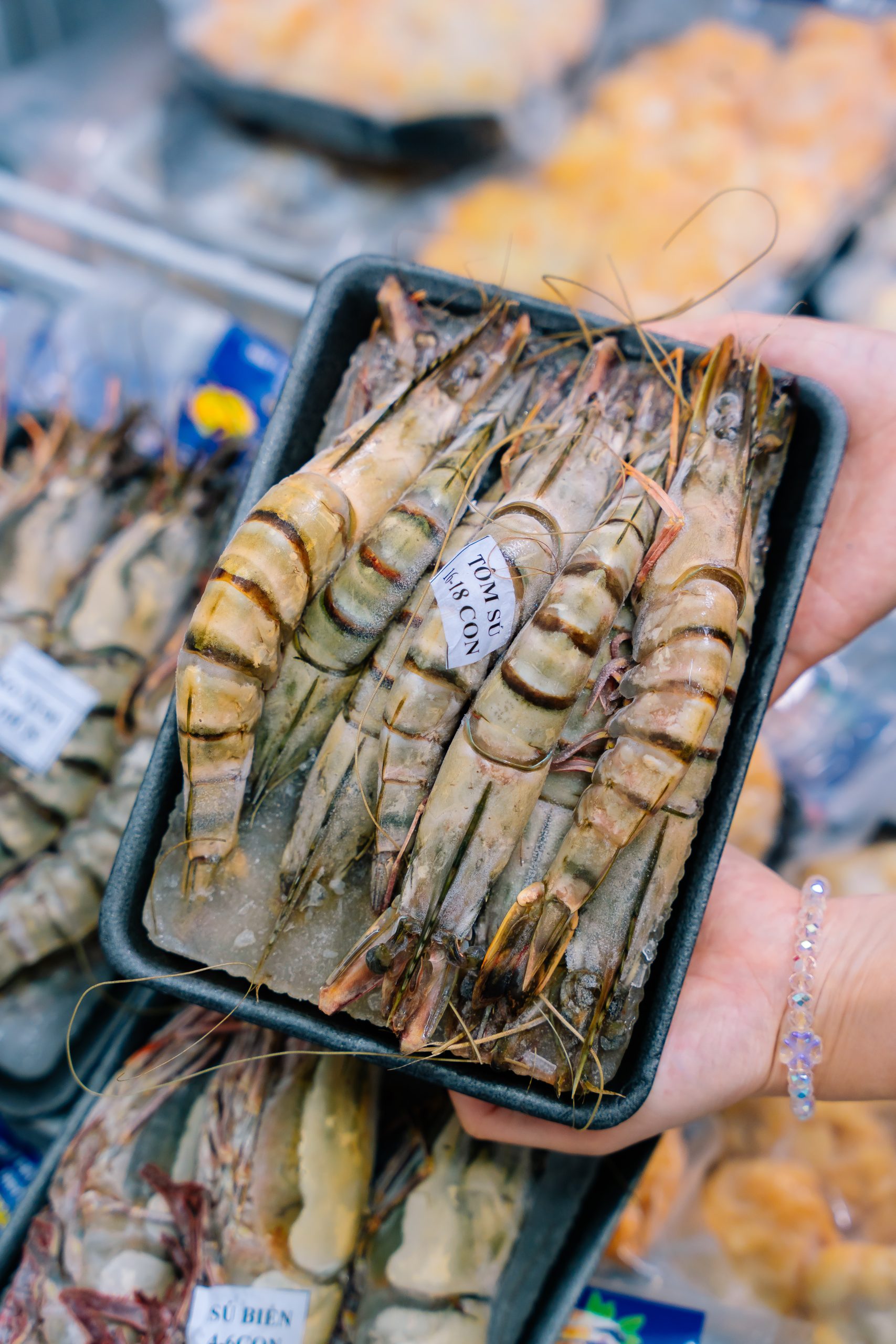 TÔM SÚ BIỂN - Ảnh 6